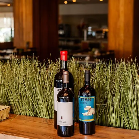 Axis Vermar Conference &