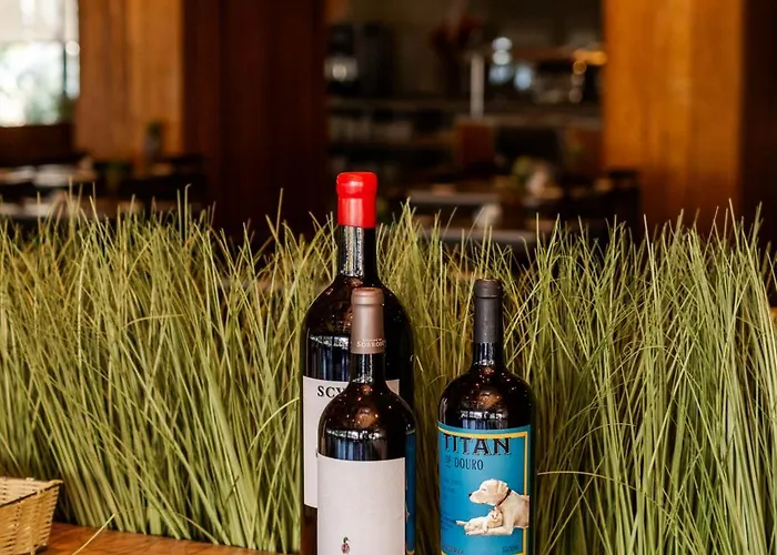 Axis Vermar Conference &