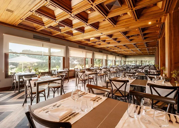 Axis Vermar Conference & 4*